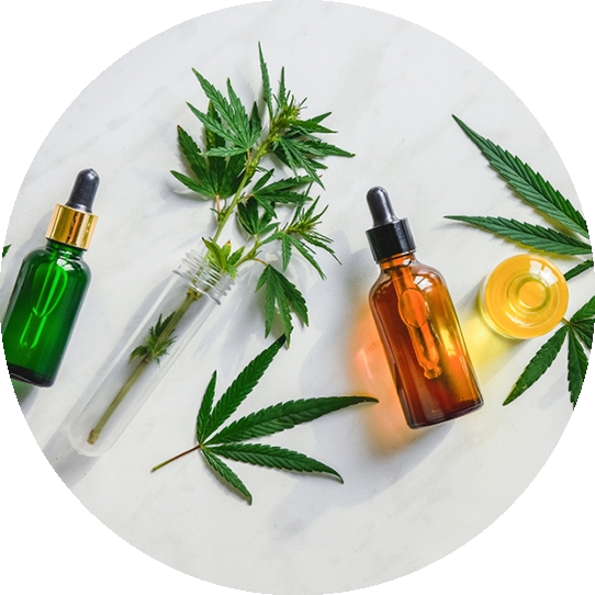 Cannabis leaves and cbd oil containers